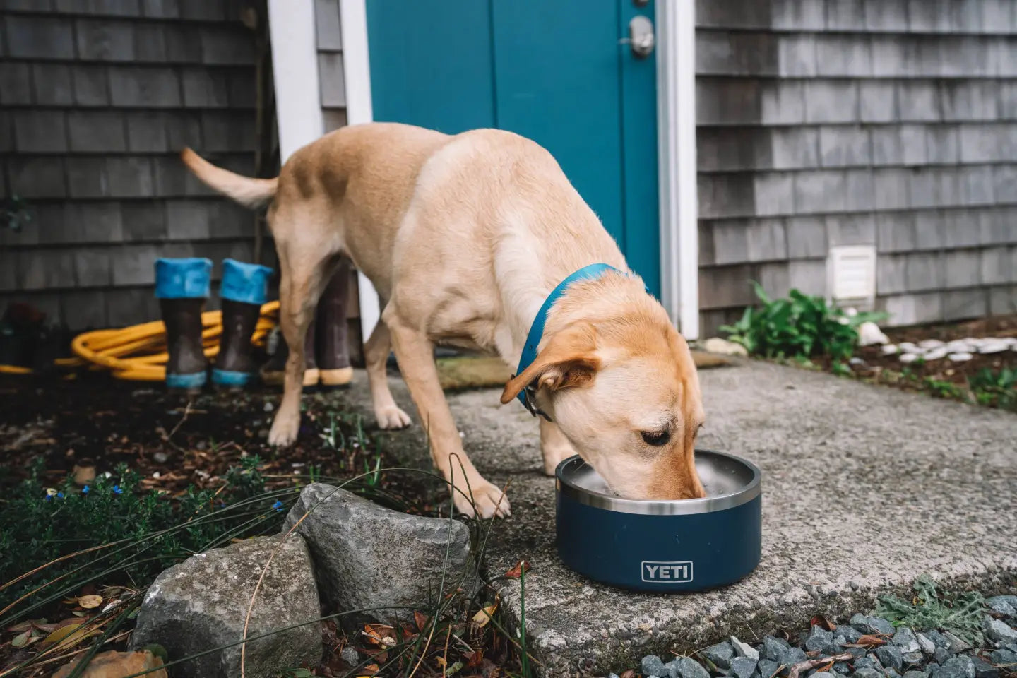YETI Pet